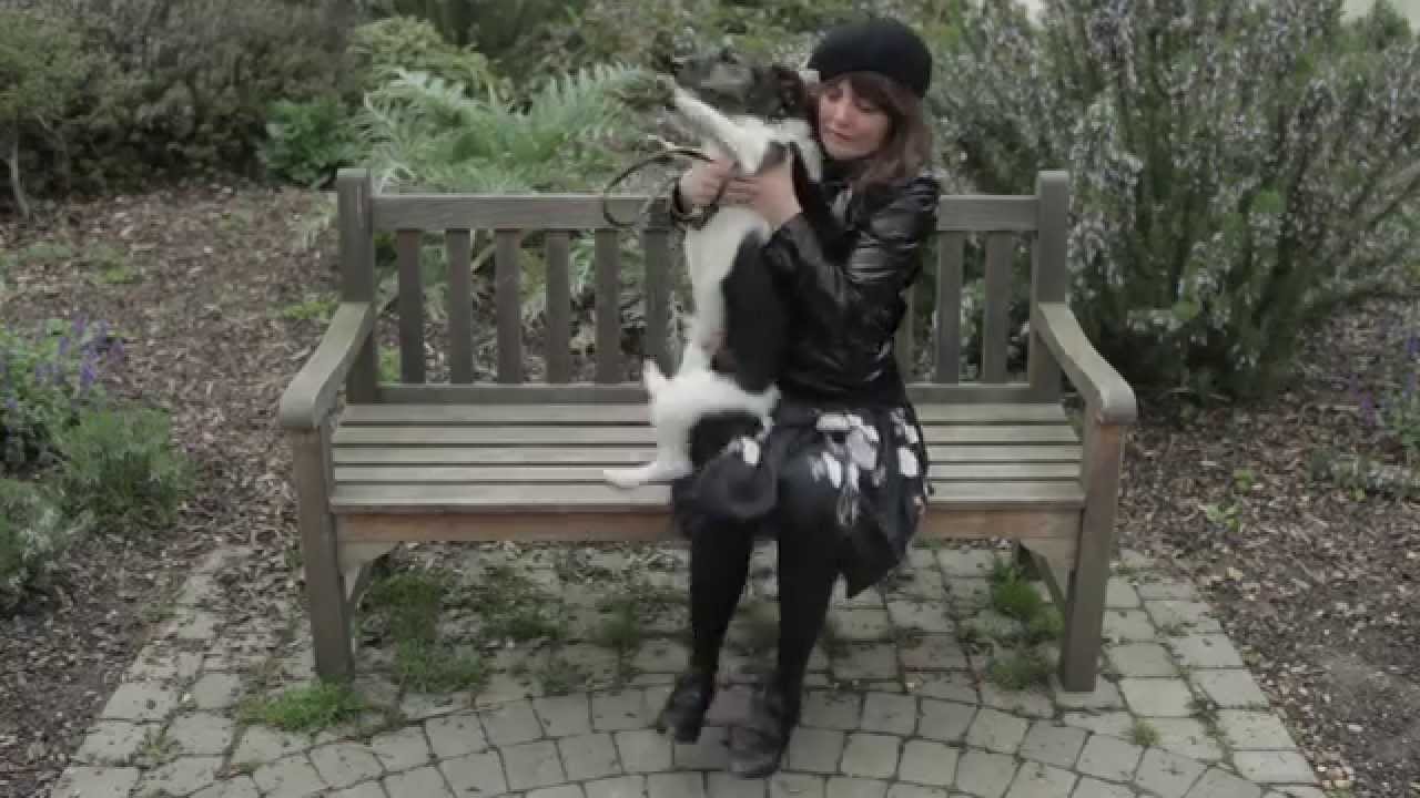 Short film video snapshot